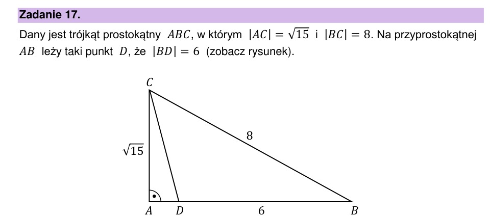 Zadanie 17: Trójkąt prostokątny z punktem - matura matematyka 2025